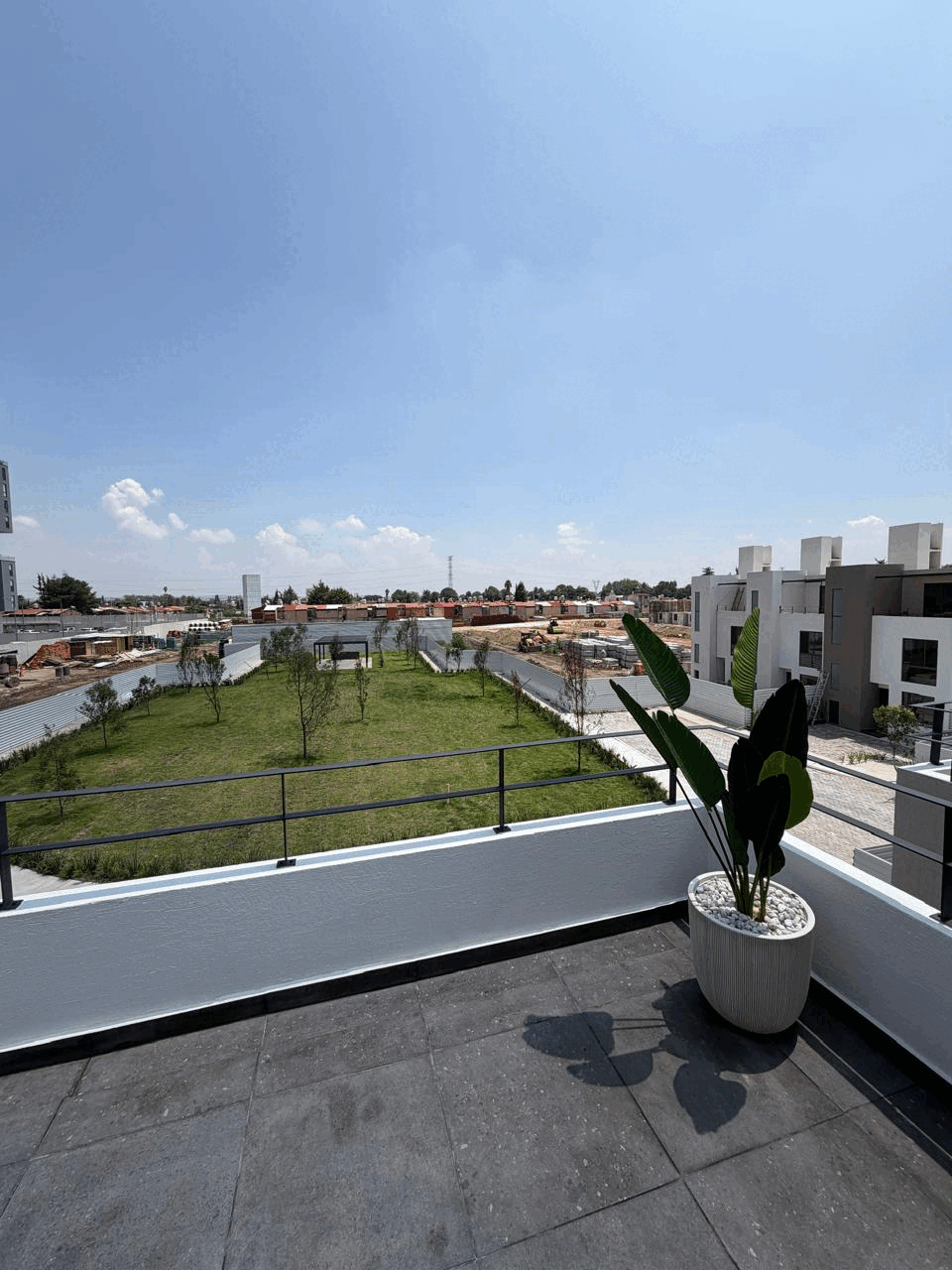 Creta planta alta foto 30